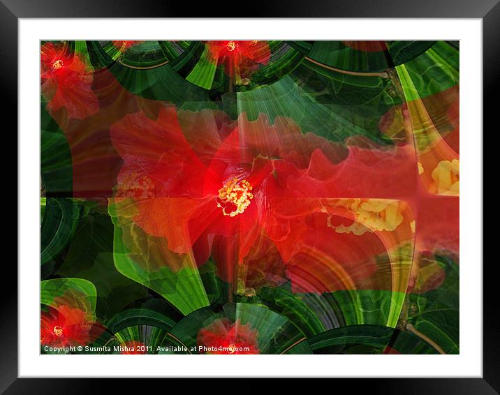 Hibiscus(abstract) Framed Mounted Print by Susmita Mishra