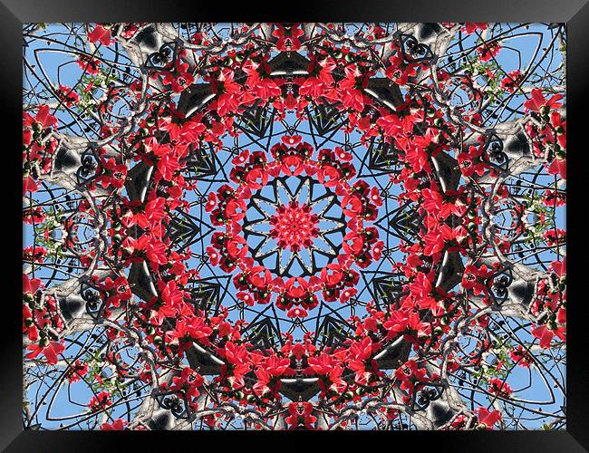 Kaleidoscope2 Framed Print by Susmita Mishra