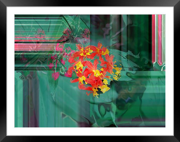 An Abstract image Framed Mounted Print by Susmita Mishra