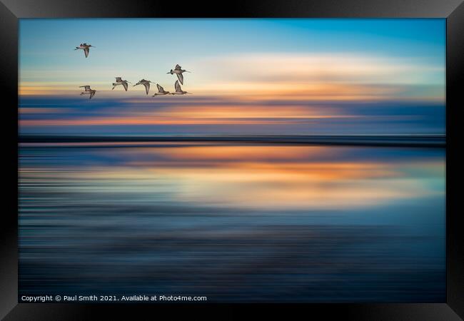 Godwits Flying over Brancaster Beach Framed Print by Paul Smith