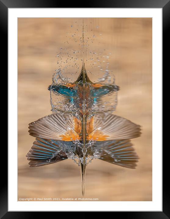 Diving Kingfisher Abstract Framed Mounted Print by Paul Smith