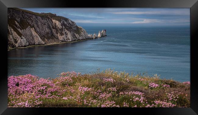 The Needles, Isle of Wight Framed Print by Paul Smith