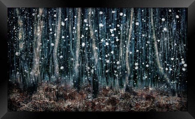 Winter Woodland  Framed Print by Judith Stewart
