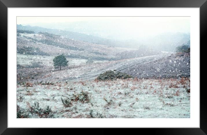 Frosty Ashdown Forest Framed Mounted Print by Judith Stewart