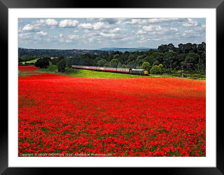 Class 40 40106 poppy fields Bewdley Severn Valley railway Framed Mounted Print by GEOFF GRIFFITHS