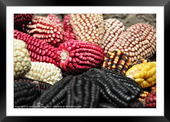 Coloured Corn Framed Mounted Print by Nicholas Brown