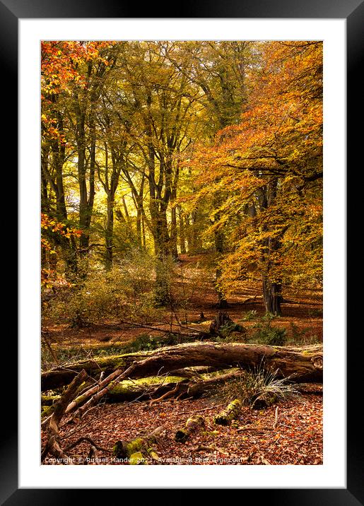 AUTUMN COLOURS Framed Mounted Print by Russell Mander