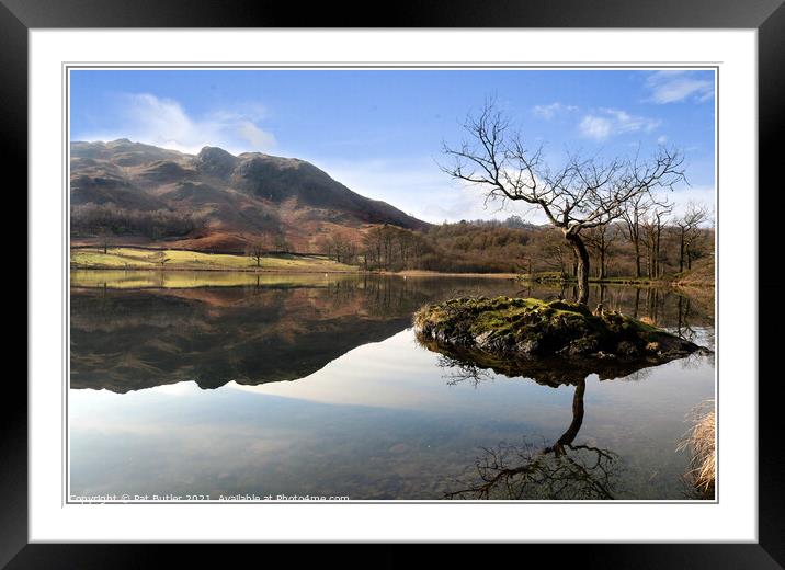 Reflection on the lake Framed Mounted Print by Pat Butler