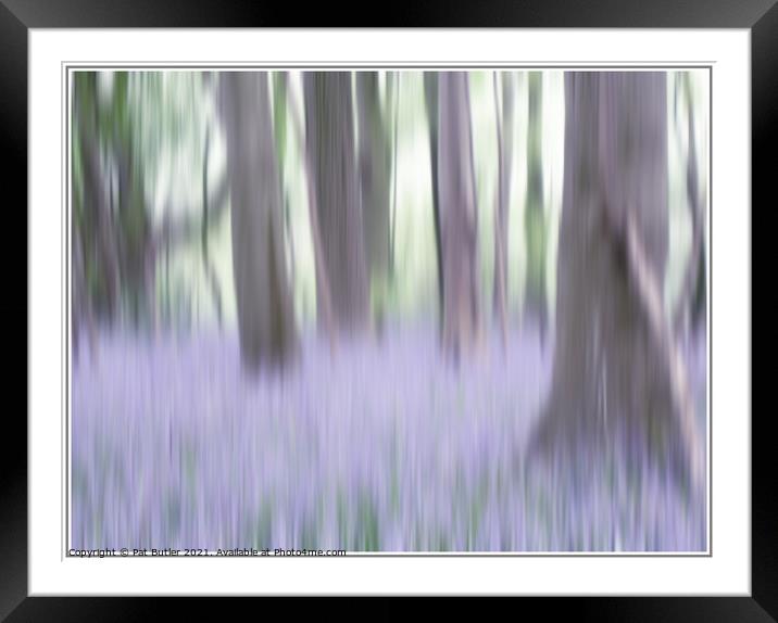 Bluebell Wood Framed Mounted Print by Pat Butler