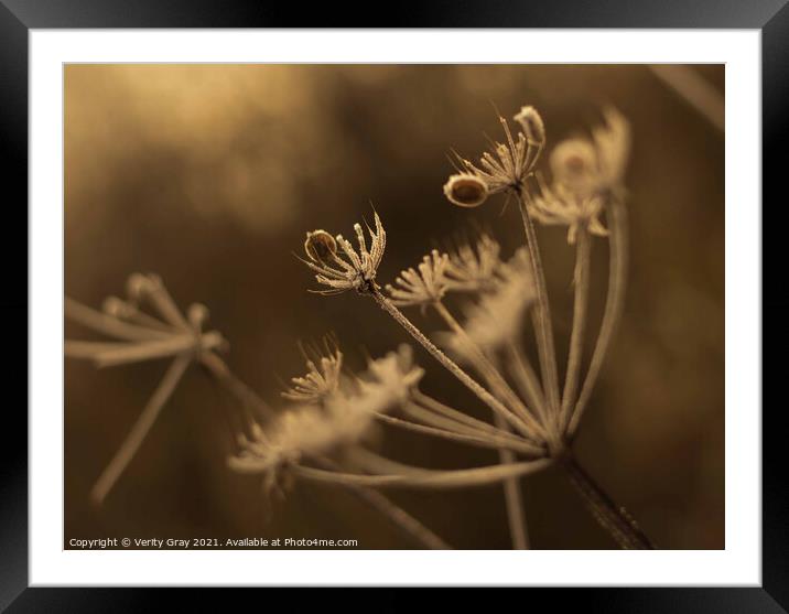 Photography Changes Framed Mounted Print by Verity Gray