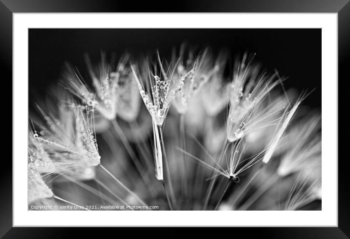 mist Framed Mounted Print by Verity Gray