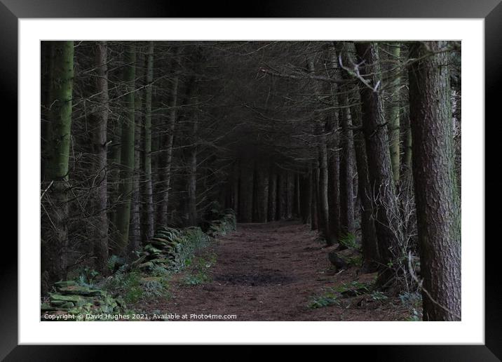 Dark woodland path Framed Mounted Print by David Hughes