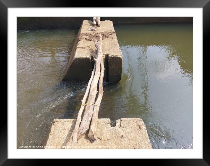 bridge made out of logs in village to cross the river Framed Mounted Print by Anish Punchayil Sukumaran