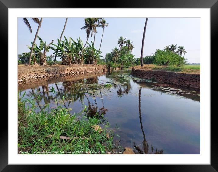 a view of small river and coconut tree a view from Kerala Framed Mounted Print by Anish Punchayil Sukumaran