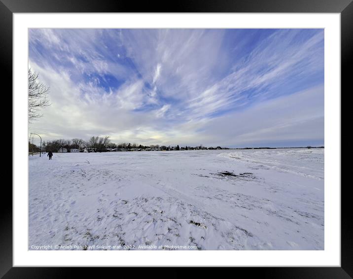 tree in the snow , view from manitoba . winter landscape with snow covered trees Framed Mounted Print by Anish Punchayil Sukumaran