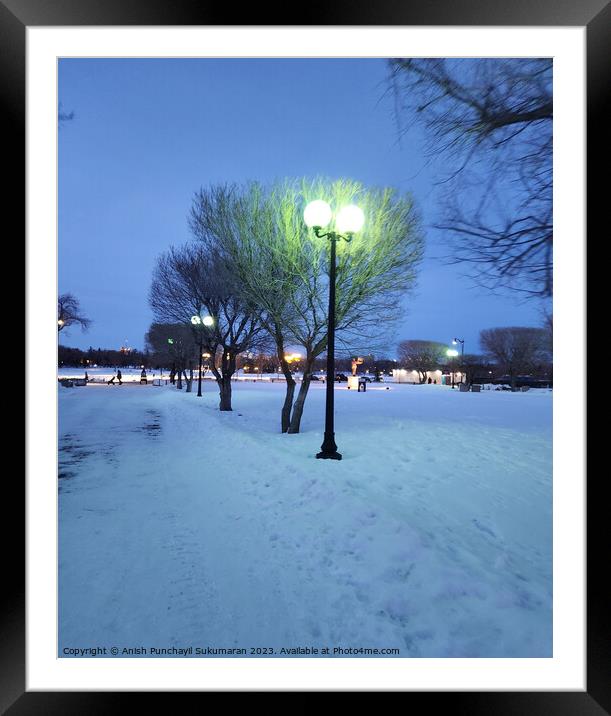 Winter night in the city. Trees in the snow and lanterns. Framed Mounted Print by Anish Punchayil Sukumaran
