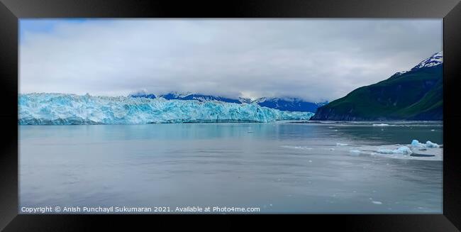 Hubbard Glacier in USA ,Alaska  Framed Print by Anish Punchayil Sukumaran