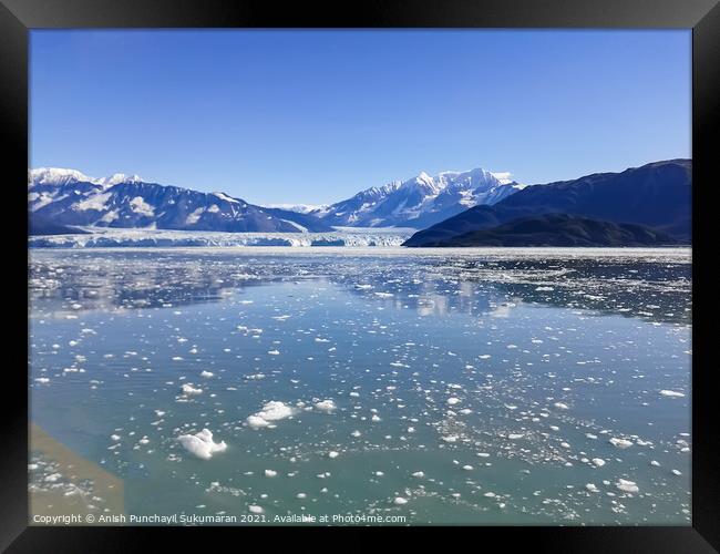 Yakutat ,Hubbard Glacier in Disenchantment Bay, Alaska , USA ,Alaska  Framed Print by Anish Punchayil Sukumaran