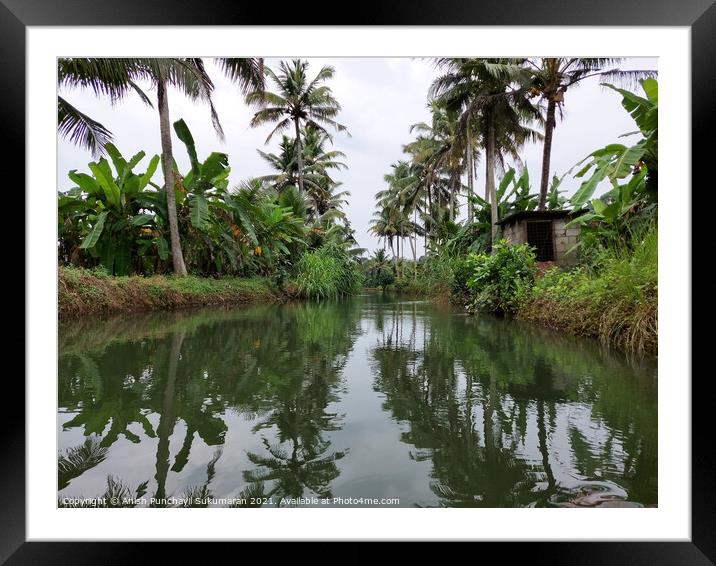 clam river and coconut trees on both side Framed Mounted Print by Anish Punchayil Sukumaran