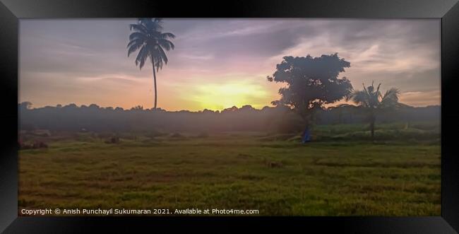  orange Sunset in Kerala, cloudy sky and coconut tree Framed Print by Anish Punchayil Sukumaran