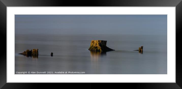 Stumps at sunset Framed Mounted Print by Alan Dunnett