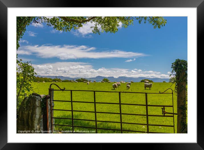 Welsh pasture Framed Mounted Print by Alan Dunnett