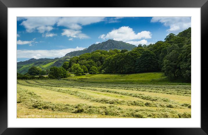 Harter Fell on a summers day at harvest Framed Mounted Print by Alan Dunnett