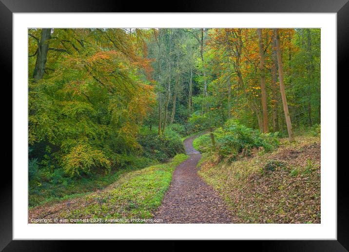 Path through Autumn Framed Mounted Print by Alan Dunnett