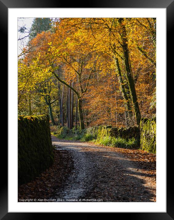 Autumnal Lane Framed Mounted Print by Alan Dunnett