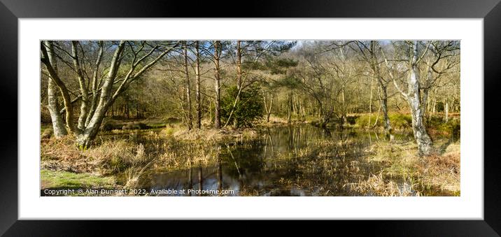 Winter Woodland Pond panoramic Framed Mounted Print by Alan Dunnett