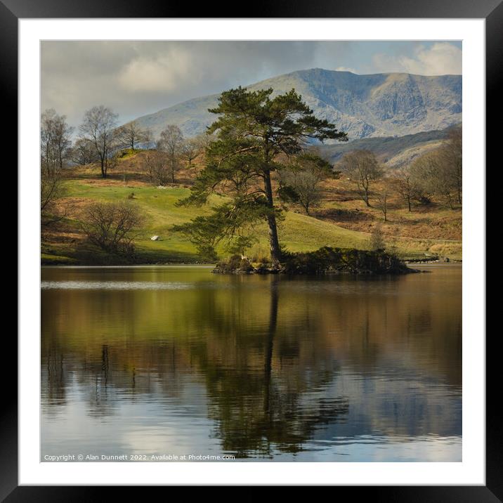 Alone at Tarn Hows Framed Mounted Print by Alan Dunnett