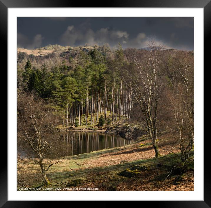 Sunlight around Tarn Hows Framed Mounted Print by Alan Dunnett