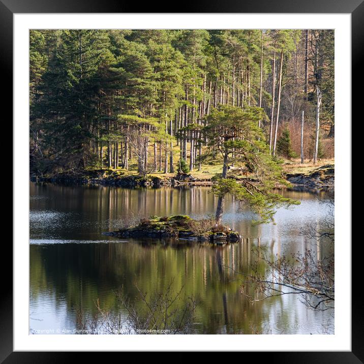 Close reflections at Tarn Hows' Framed Mounted Print by Alan Dunnett
