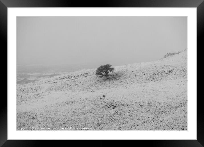 Lone tree on a snowly field Framed Mounted Print by Alan Dunnett