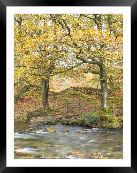 Autumn River Crossing  Framed Mounted Print by Alan Dunnett