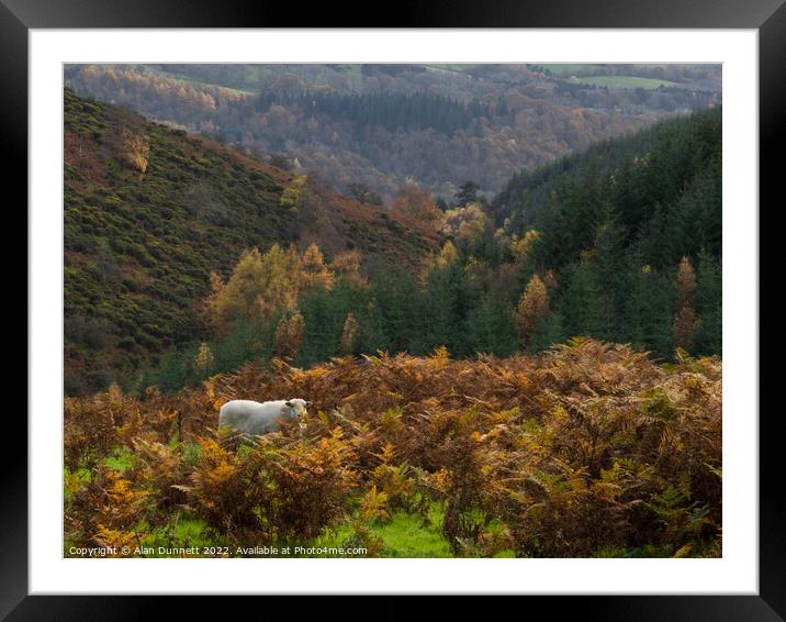 Autumn down Churchmoor Hill Framed Mounted Print by Alan Dunnett
