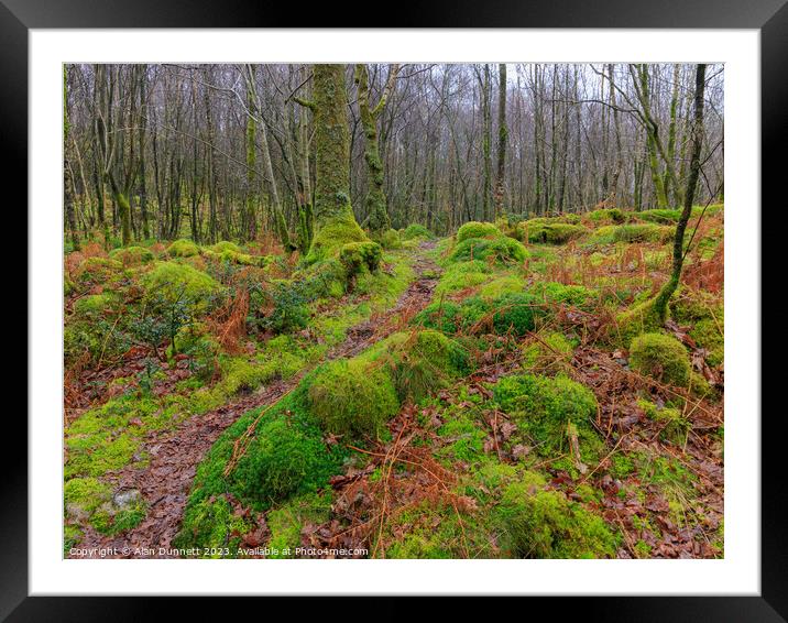 Wet Woodland Path Framed Mounted Print by Alan Dunnett
