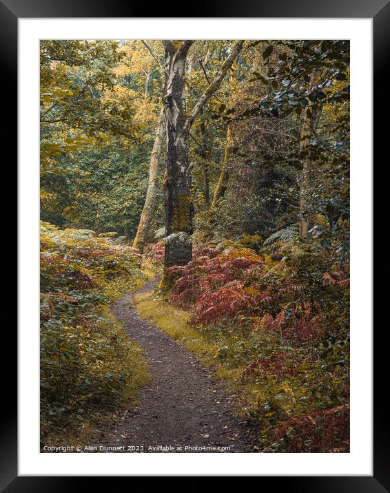 The path of transition to Autumn Framed Mounted Print by Alan Dunnett