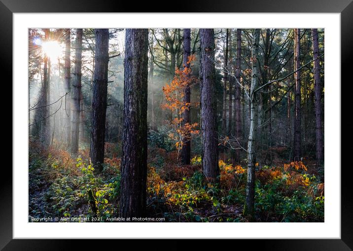 Autumn light Framed Mounted Print by Alan Dunnett
