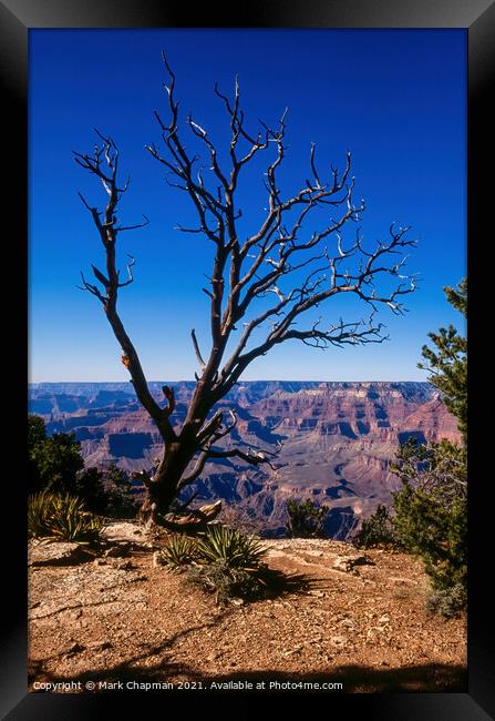 Grand Canyon view Framed Print by Photimageon UK