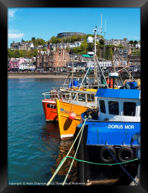 Fishing Boats Oban Harbour, Scotland Framed Print by Photimageon UK