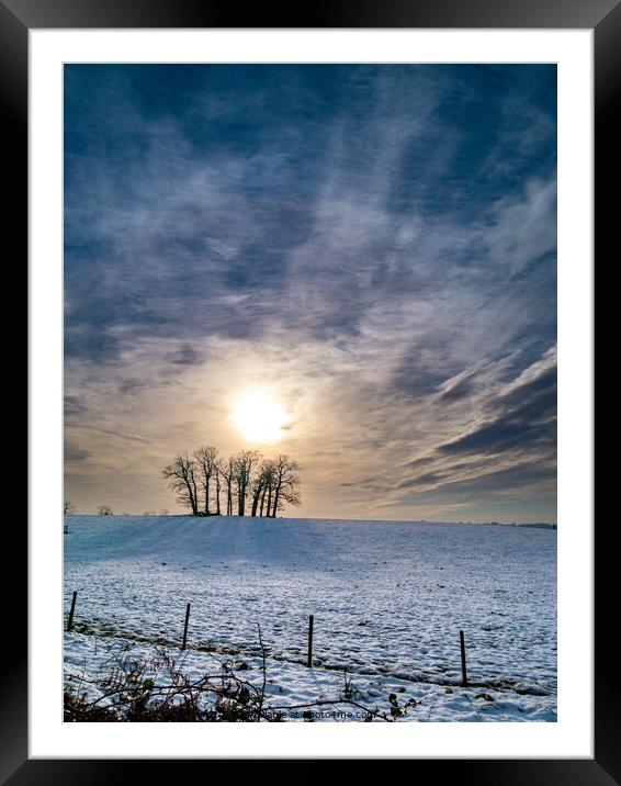 Tree Copse in Winter Framed Mounted Print by Photimageon UK