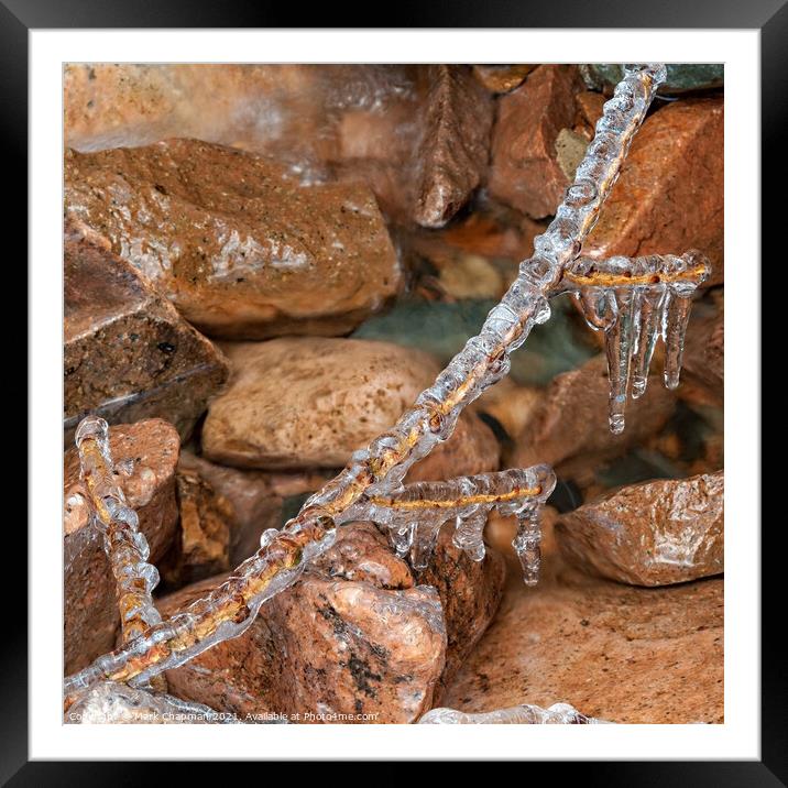 Ice encrusted twig and rocks Framed Mounted Print by Photimageon UK