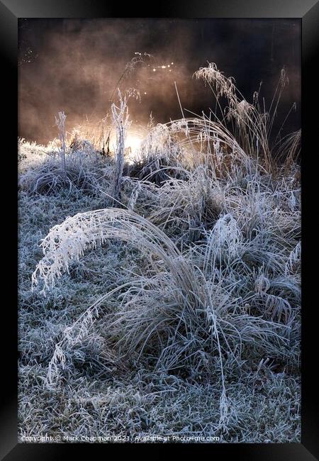 Mist, hoar frost and grass Framed Print by Photimageon UK