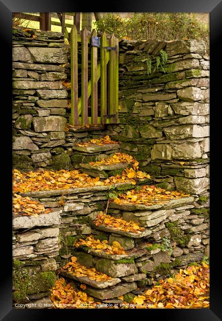Stone steps and Autumn Leaves Framed Print by Photimageon UK