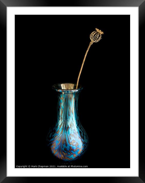 Dried Poppy seed head in glass vase Framed Mounted Print by Photimageon UK