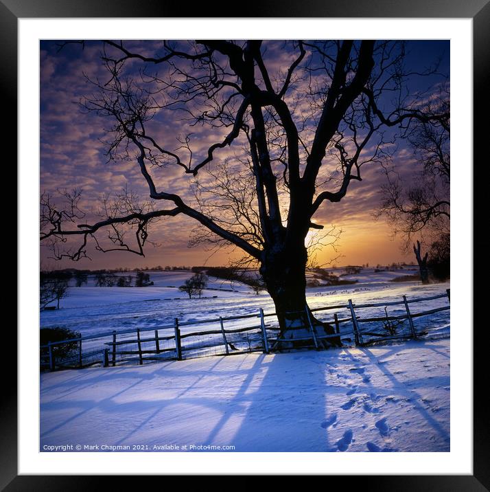 Tree silhouette snowy Winter sunset, Leicestershir Framed Mounted Print by Photimageon UK