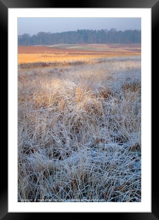 Frosty grass, Bradgate Park, Leicestershire Framed Mounted Print by Photimageon UK