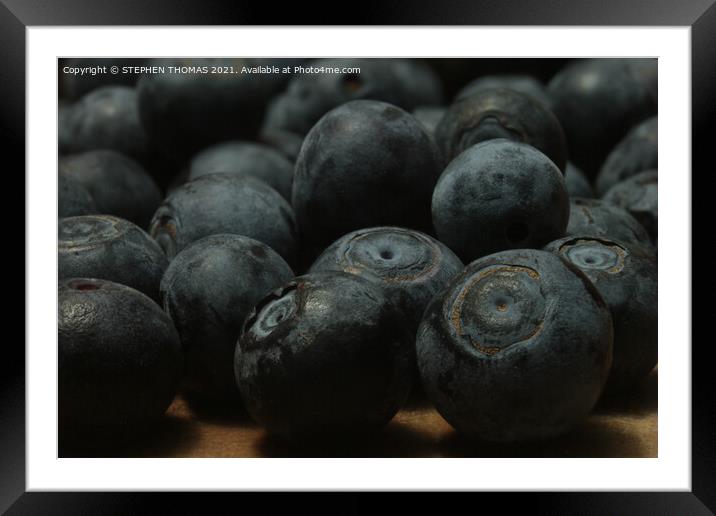 A Bunch of Blueberries Framed Mounted Print by STEPHEN THOMAS