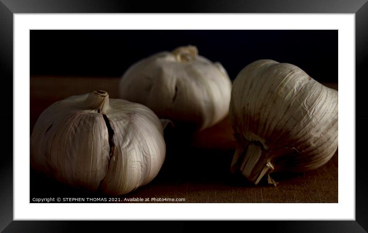 Three Garlic Bulbs Framed Mounted Print by STEPHEN THOMAS